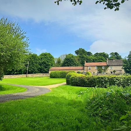 Old Orchard Cottage, Wykeham سكرابورو المظهر الخارجي الصورة