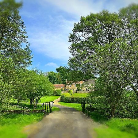 Old Orchard Cottage, Wykeham سكرابورو المظهر الخارجي الصورة
