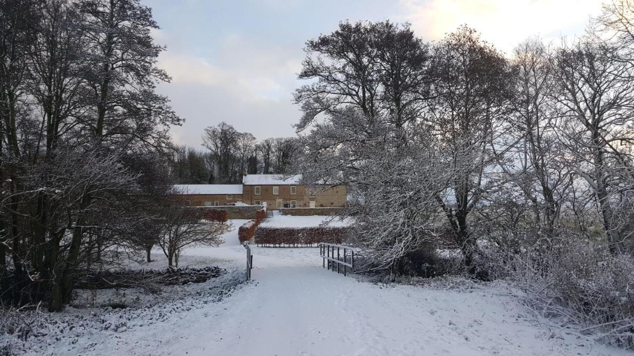 Old Orchard Cottage, Wykeham سكرابورو المظهر الخارجي الصورة