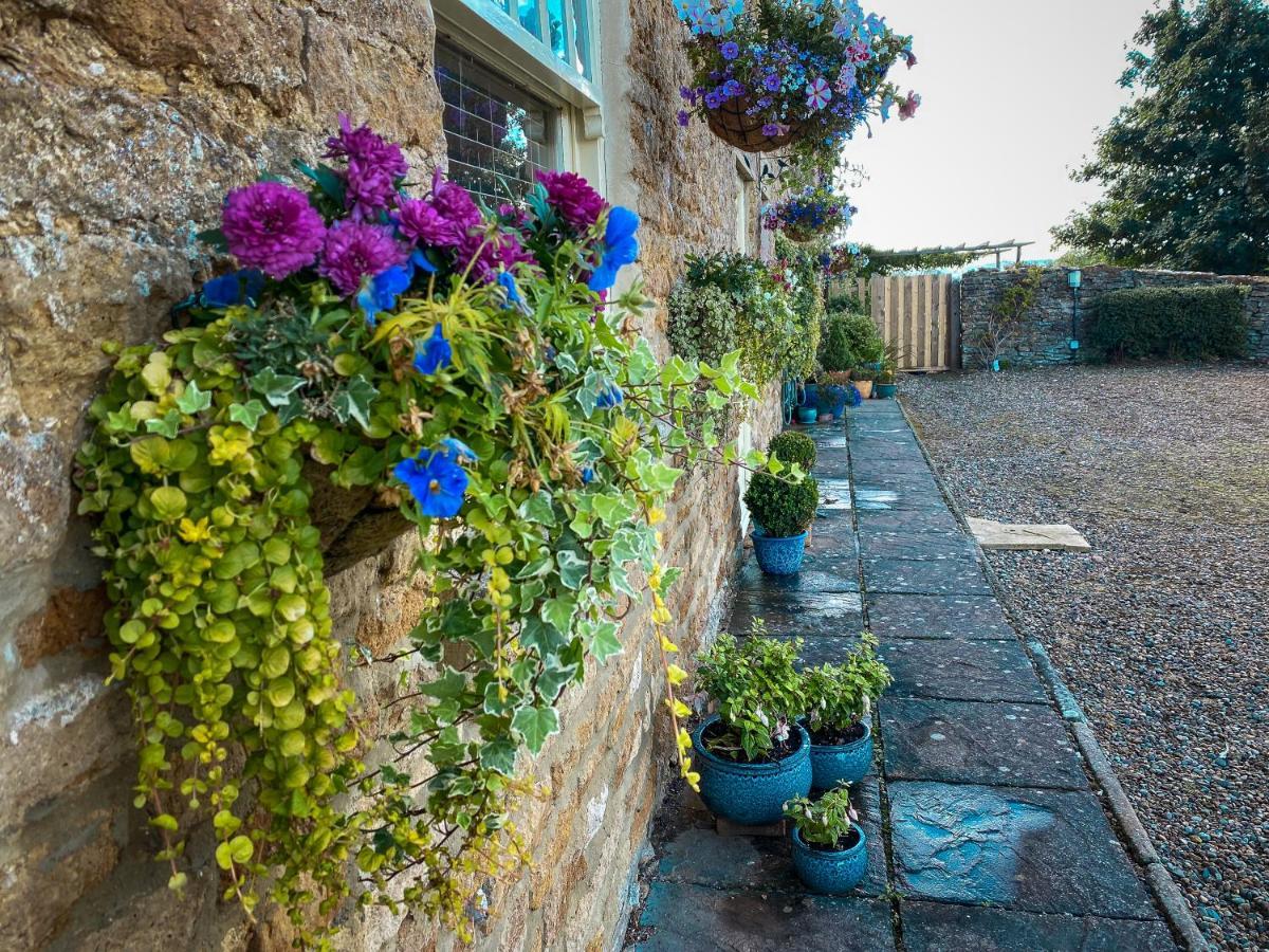 Old Orchard Cottage, Wykeham سكرابورو المظهر الخارجي الصورة