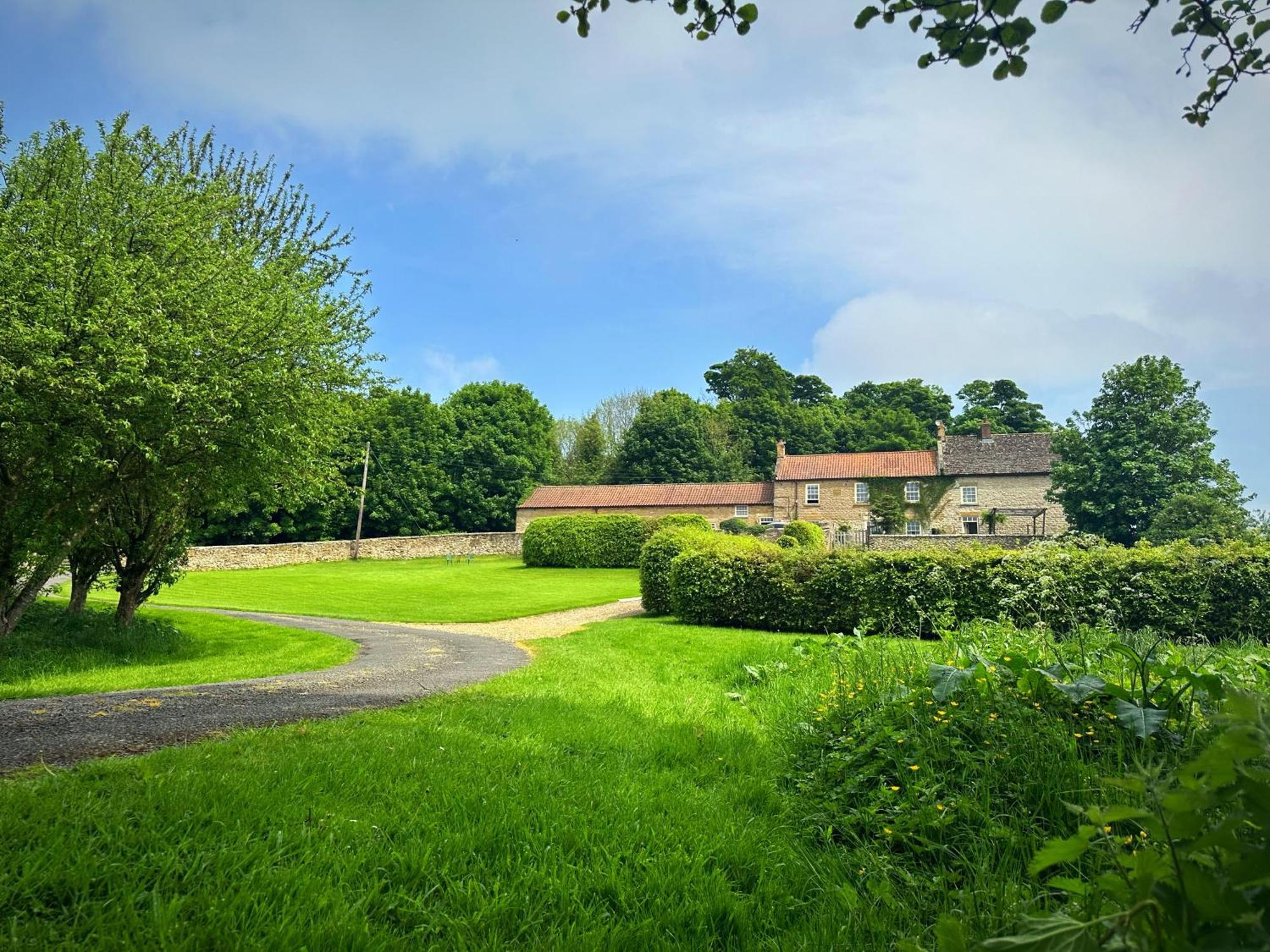 Old Orchard Cottage, Wykeham سكرابورو المظهر الخارجي الصورة