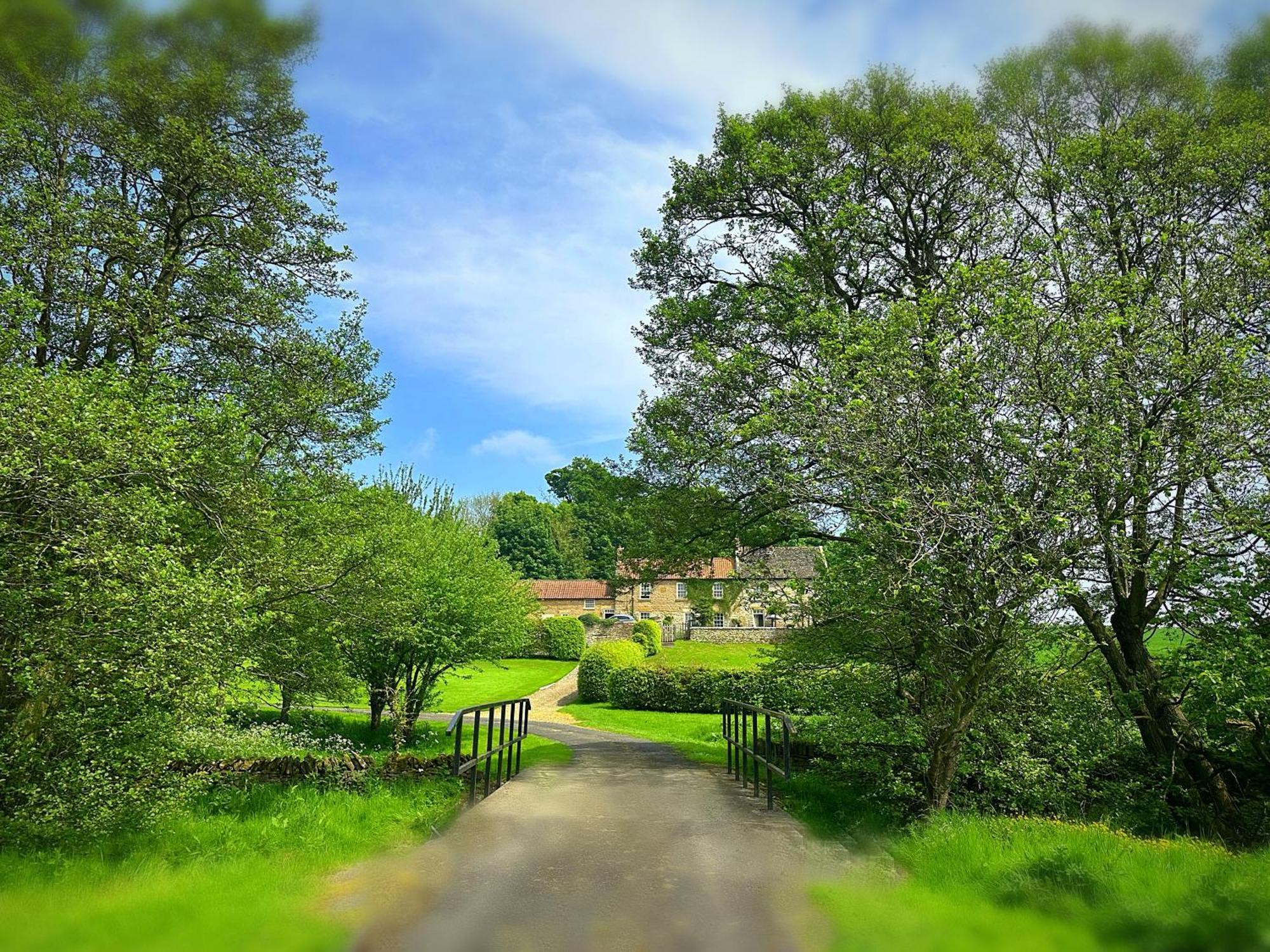 Old Orchard Cottage, Wykeham سكرابورو المظهر الخارجي الصورة